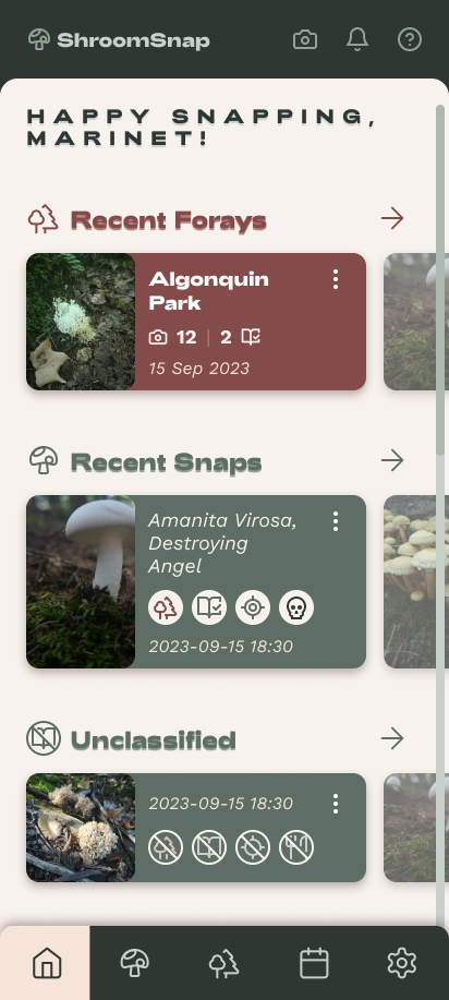 Home Page