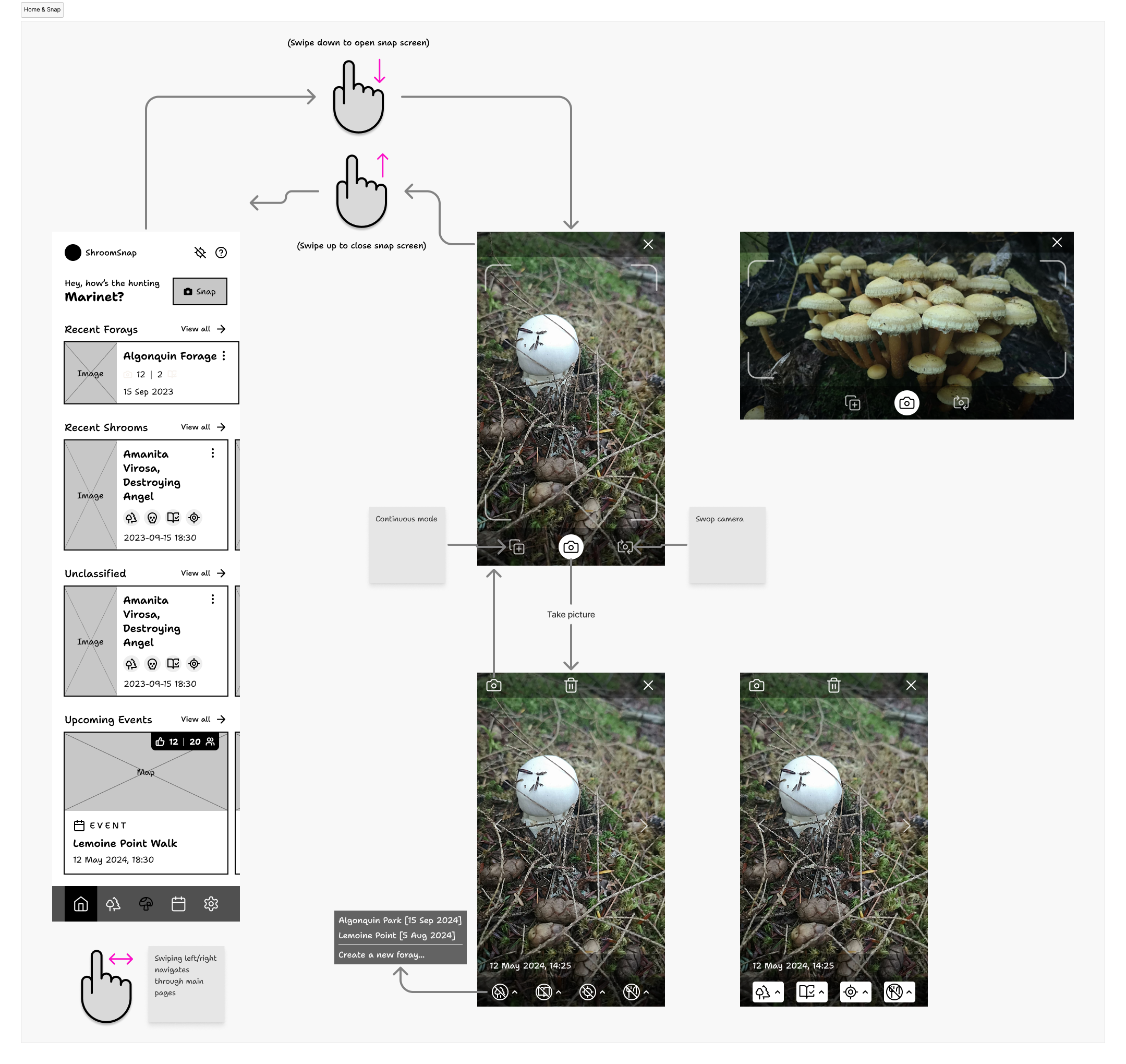 Home & Snap wireframe