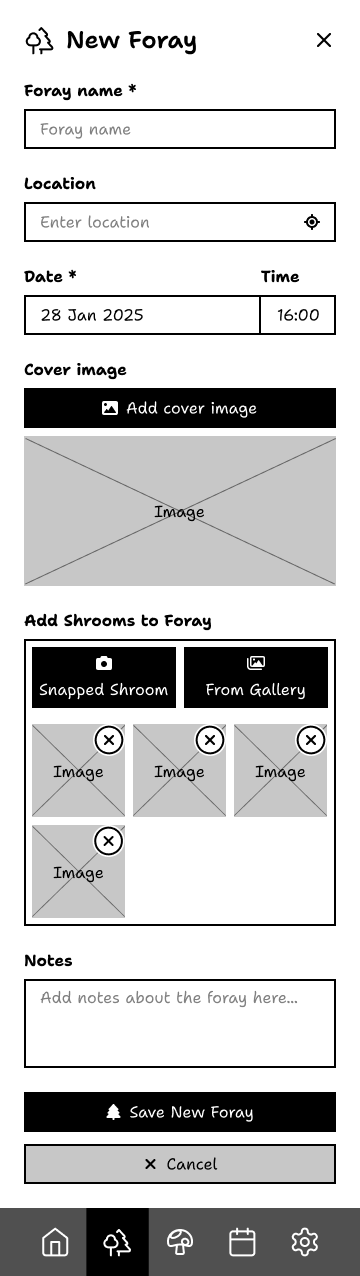 New Foray wireframe