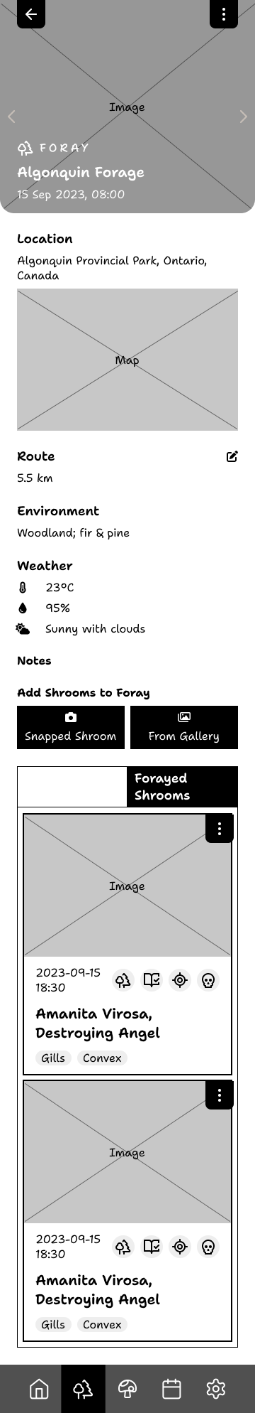 View Foray wireframe
